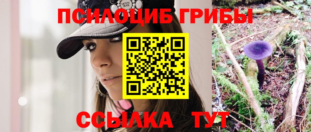 Псилоцибиновые грибы мицелий  Вход с VPN  сколько стоит  Ликино-Дулёво 